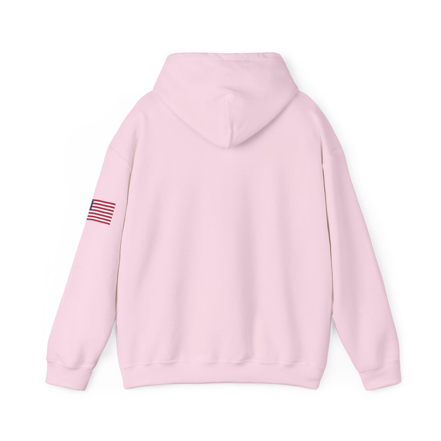 Heritage Republic Collegiate Hoodie